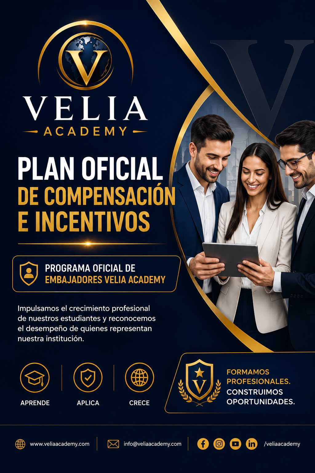 Plan oficial de compensación e incentivos de Velia Academy