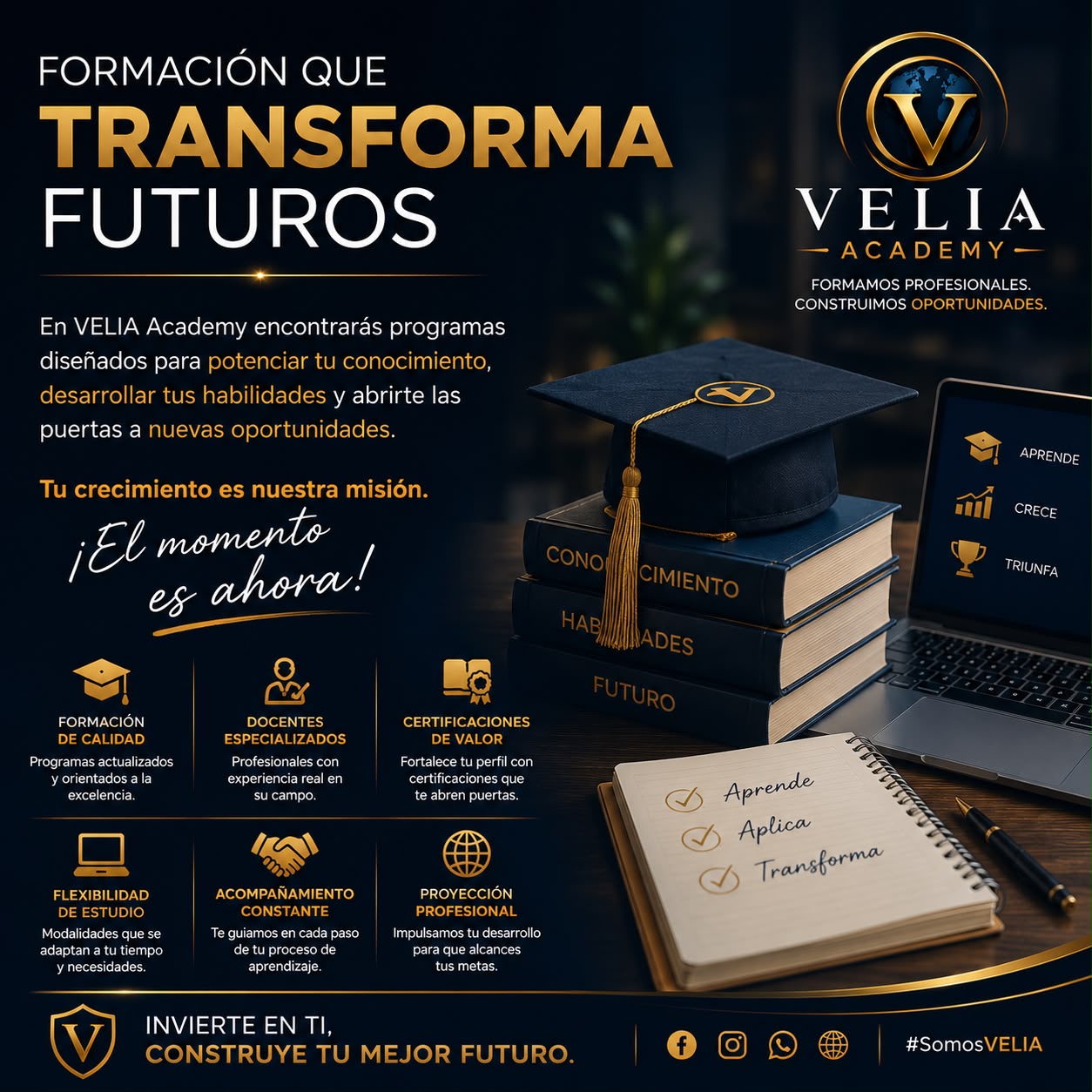 Formación profesional en Velia Academy
